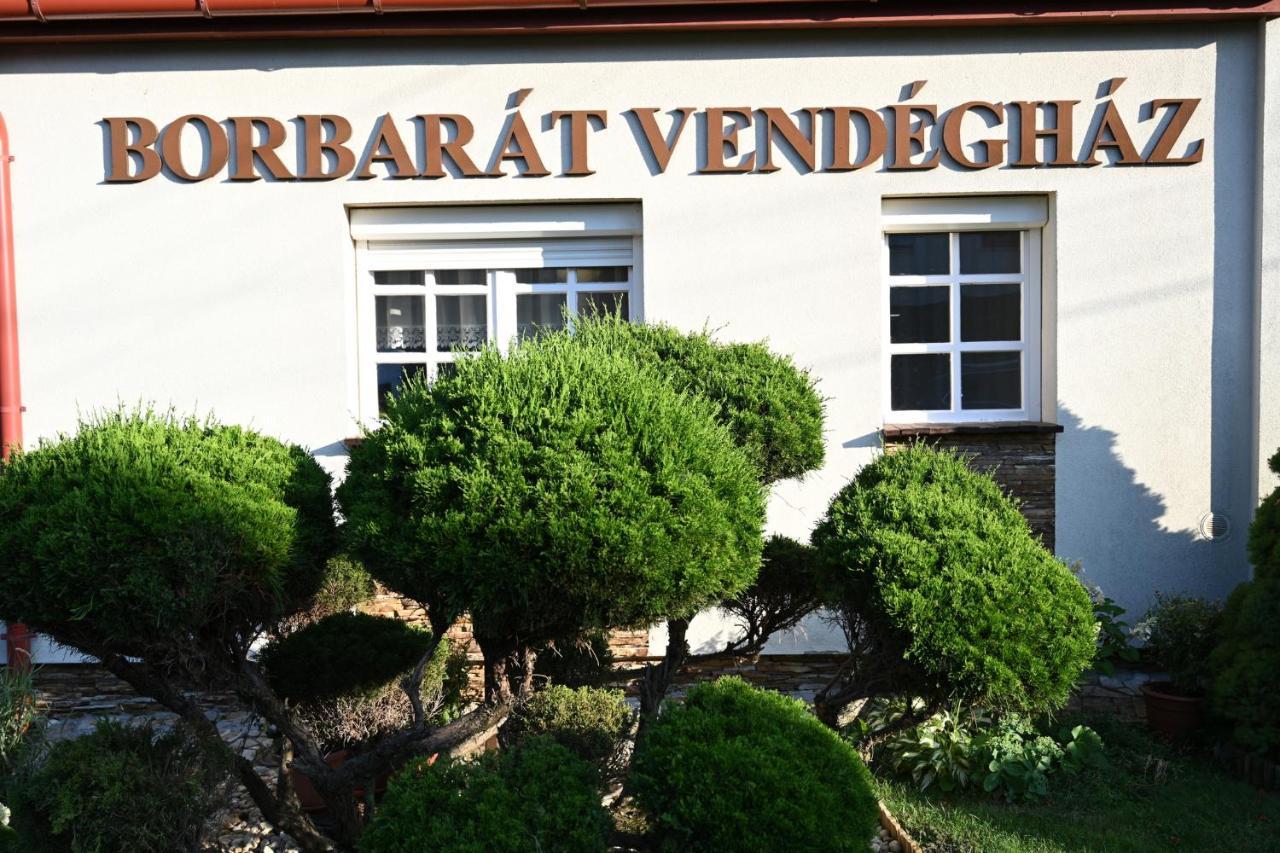 エゲル Borbarat Vendeghazヴィラ エクステリア 写真