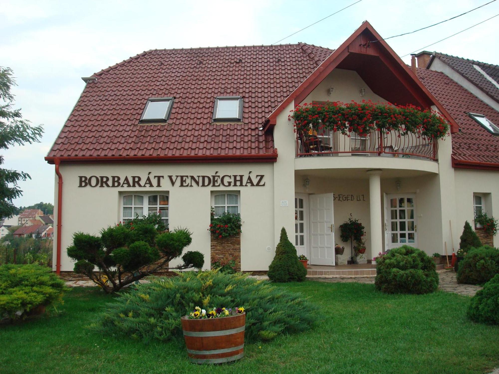 エゲル Borbarat Vendeghazヴィラ エクステリア 写真